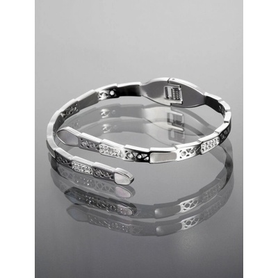 Prosperk náramek z chirurgické oceli had stříbrná S4521