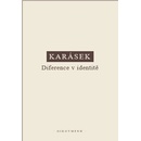 Diference v identitě