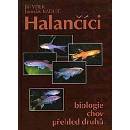 Halančíci