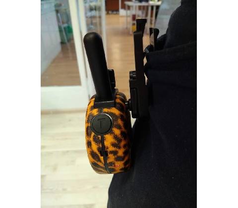 E-Collar Mini Educator ET-300