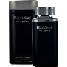 Ted Lapidus Black Soul toaletná voda pánska 100 ml