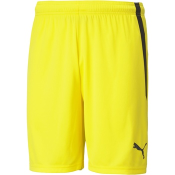 PUMA Team liga shorts l