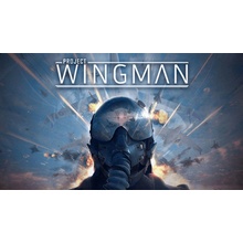 Project Wingman