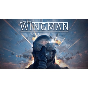 Project Wingman