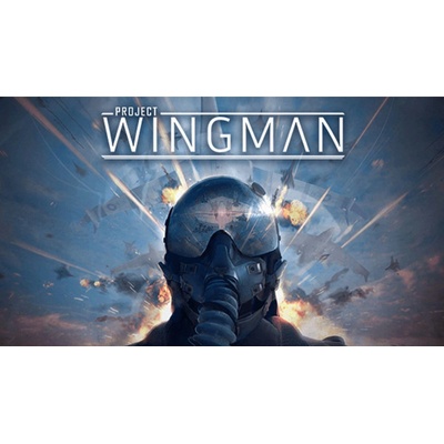 Project Wingman