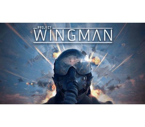 Project Wingman