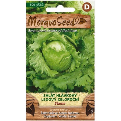 MORAVOSEED Salát hlávkový ledový celoroční STAMIR