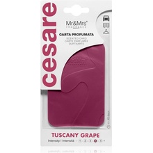 Mr&Mrs Fragrance Cesare Scented Cards Tuscany Grape