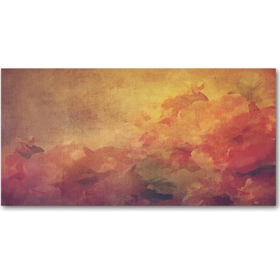 Fotoobraz na skle kvety 100x50 cm