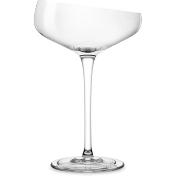 Eva Solo Pohár na šampanské 200 ml