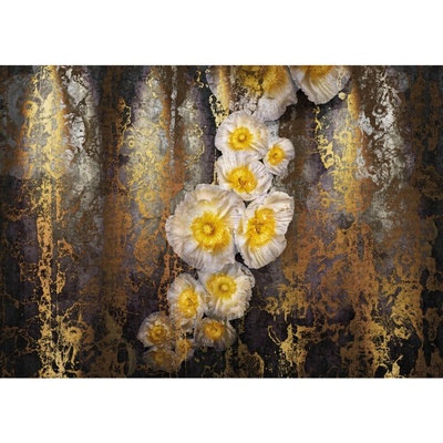 Komar Papierová fototapeta Serafina, rozměry 368 x 254 cm