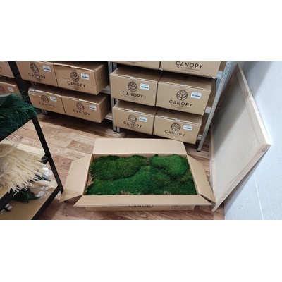 Stabilizovaný mach plochý – Flat moss - Flaches moos - 3kg
