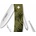 Swiza D02 Silva Olive