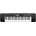 Casio CTK-240