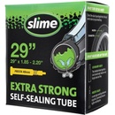 SLIME FV