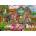 Bluebird Puzzle - Puzzle The Crab Shack Gifts - 500 piese