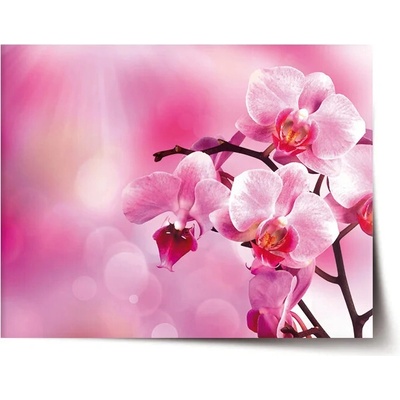 Sablio Plagát Kvety orchidey - 90x60 cm