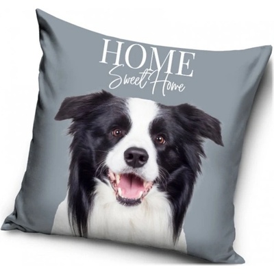 Carbotex vankúš Šteňa Border kólie 40x40