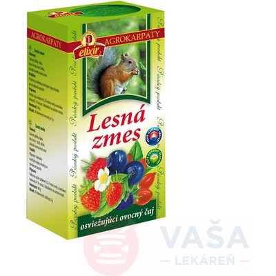 Agrokarpaty Lesná zmes 20 x 2 g