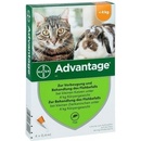 Veterinárne prípravky Advantage spot-on pre malé mačky a králiky 40 mg 1 x 0,4 ml