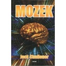 The Brain Mozek