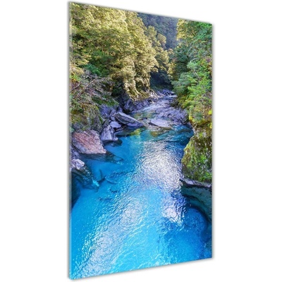 Vertikálny foto obraz sklenený Rieka v lese 50x100 cm