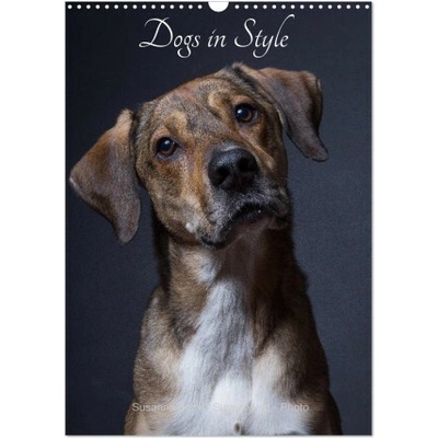Dogs in Style Wall DIN A3 portrait, CALVENDO 12 Month Wall 2026