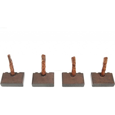 Uhlíkový kartáč, startér AS-PL BSX190-191