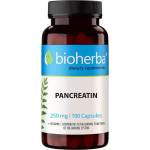 Bioherba Pancreatin, 250 mg, 100 капсули, Bioherba