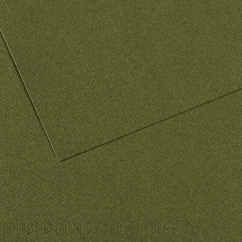 Canson Mi-Teintes 50x65 cm Vert Ocean 448 160 g Цветна хартия (C200331454)