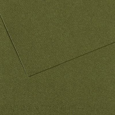 Canson Mi-Teintes 50x65 cm Vert Ocean 448 160 g Цветна хартия (C200331454)
