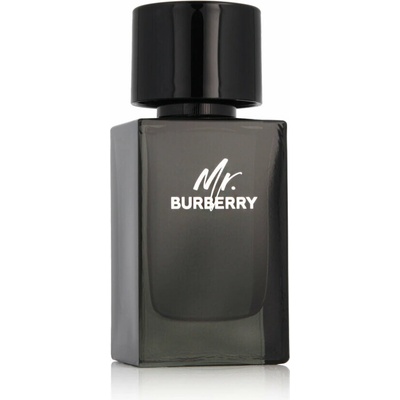 Burberry Mr. Burberry parfumovaná voda pánska 100 ml tester