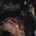 Noa's D'Ark LP