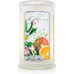Kringle Candle Essentials ароматна свещ 624 гр