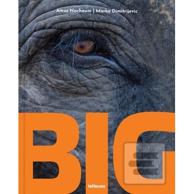 Big - Amos Nachoum, Marko Dimitrijevic