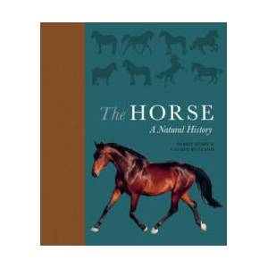 Horse | Debbie Busby, Catrin Rutland (ISBN: 9780691178776)