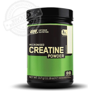 Optimum Nutrition Creatine Powder 317 g