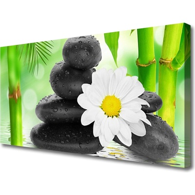 Obraz Canvas Bambus kamene zen kvet 100x50 cm