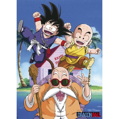 GB eye Мини плакат GB eye Animation: Dragon Ball - Kame Team (ABYDCO392)