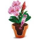 Forestina Hnojivo výživa pro orchideje 35 ml