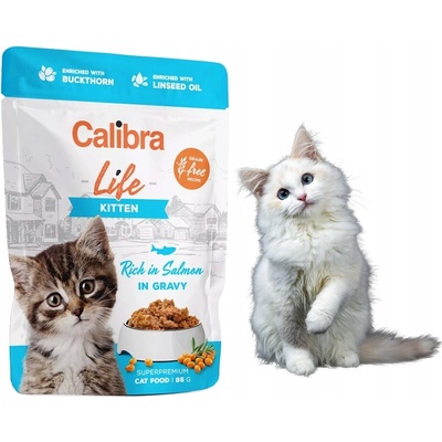 Calibra Cat Life Kitten Salmon in gravy 85 g
