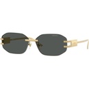 Versace VE2274 100287