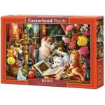 Castorland Puzzle 1000 Wizard Kittens CASTOR