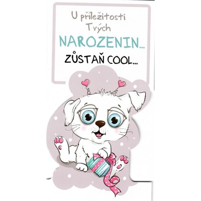 Nekupto Blahoželanie k narodeninám Zostaň COOL psík 116 x 220 mm 3493 K