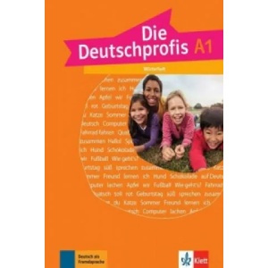 Die Deutschprofis (ISBN: 9783126764728)