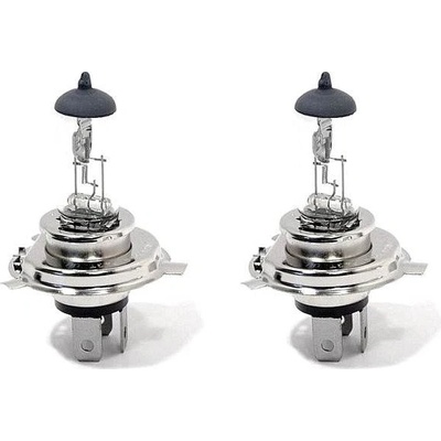 Compass H4 P43t 12V 60/55W 2 ks