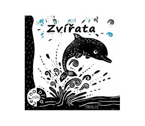Zvířata