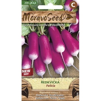 Reďkovka FELICIA fialovo-biela MoravoSeed