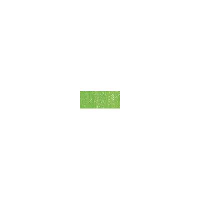 Sennelier suchý pastel 229 chromium green
