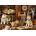 KS Games - Puzzle Cats in the Library - 500 piese